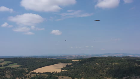 Causse-limestone-plateau-with-vulture-bird-of-prey-flying-aerial-shot-France